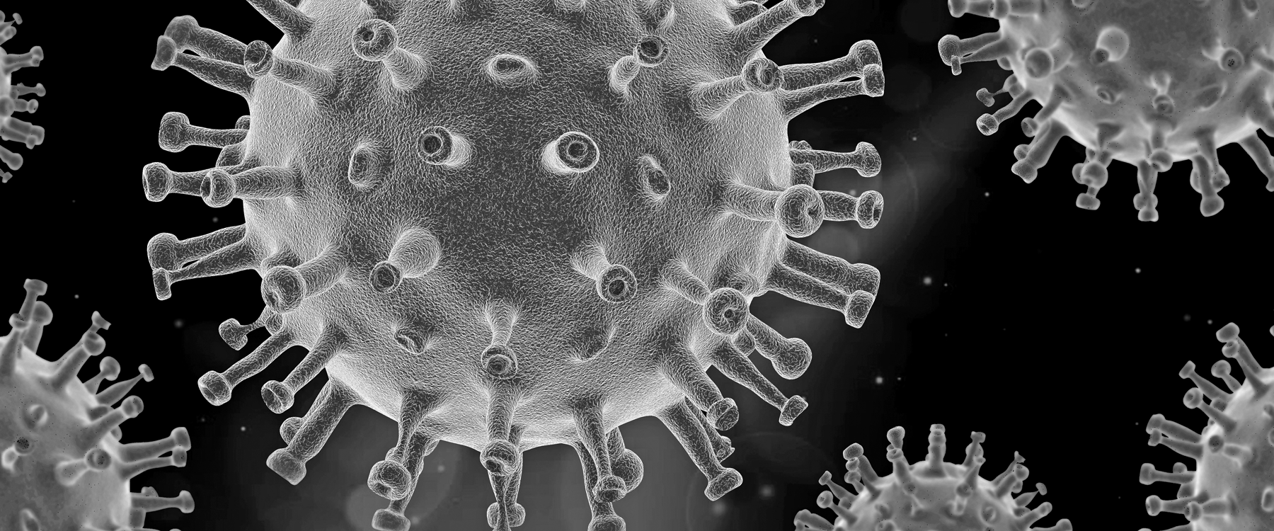 Virus unter dem Mikroskop